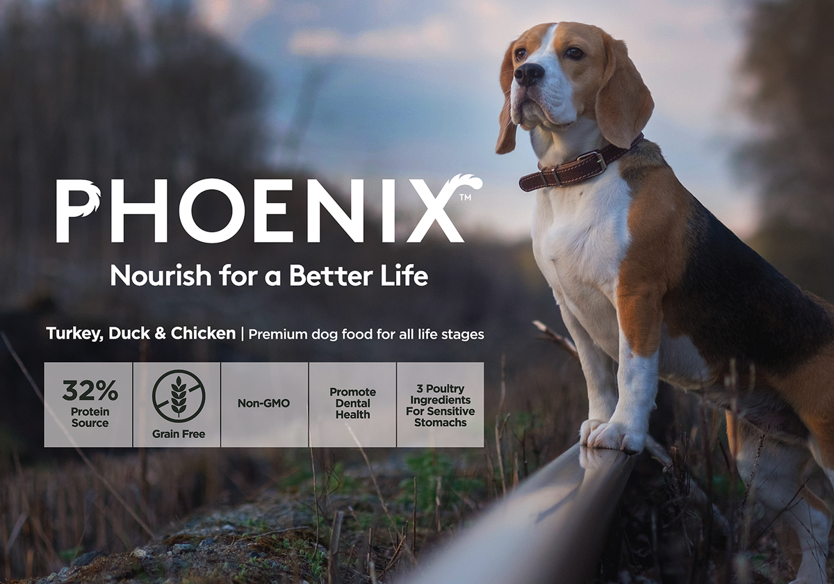 Phoenix Dog Food Tails Pet Centre