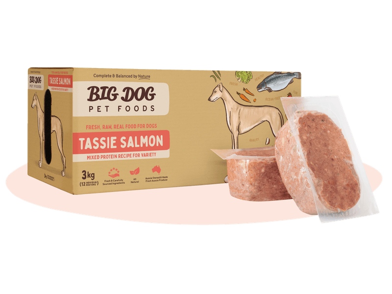 Big Dog Barf Salmon 3kg