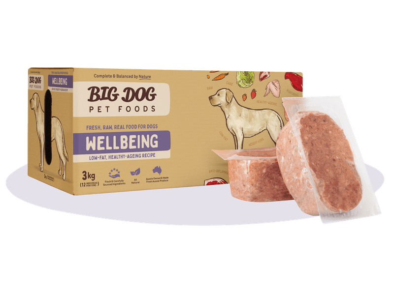 Big Dog BARF Wellbeing 3kg