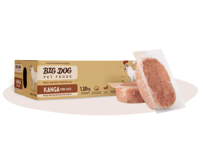 Big Dog Barf Cat Kanga