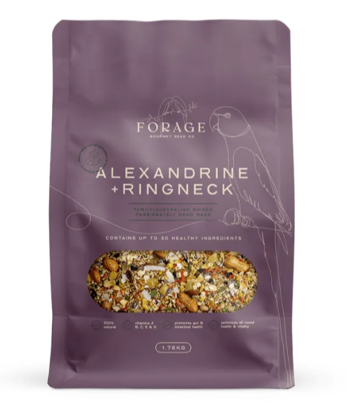 Forage Gourmet Alexandrine Blend
