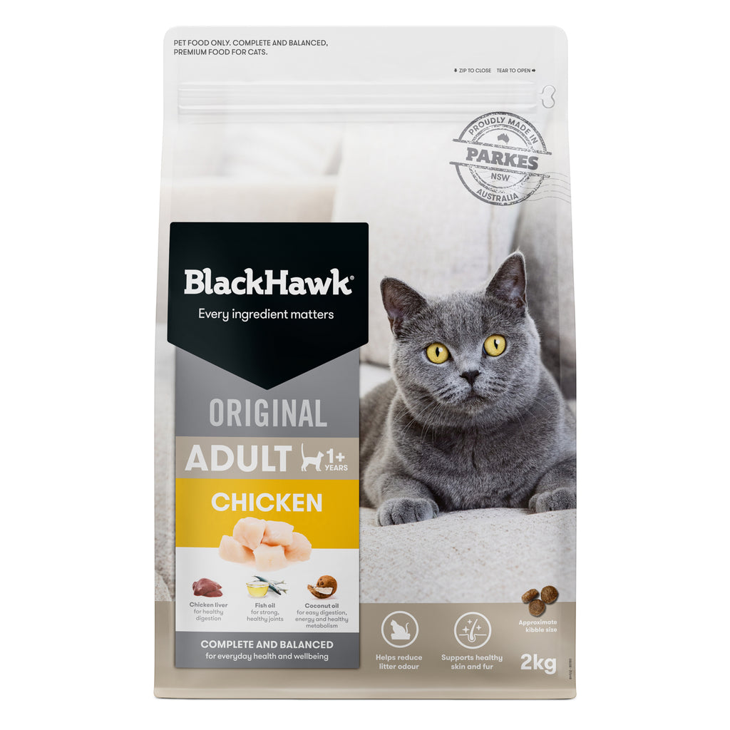 Black Hawk Cat Adult Chicken