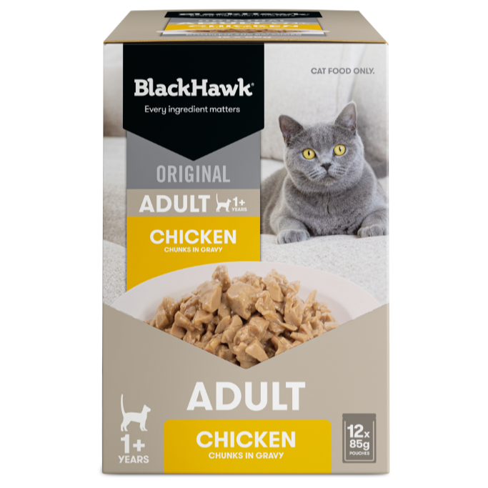 Black Hawk Cat Chicken Pouches