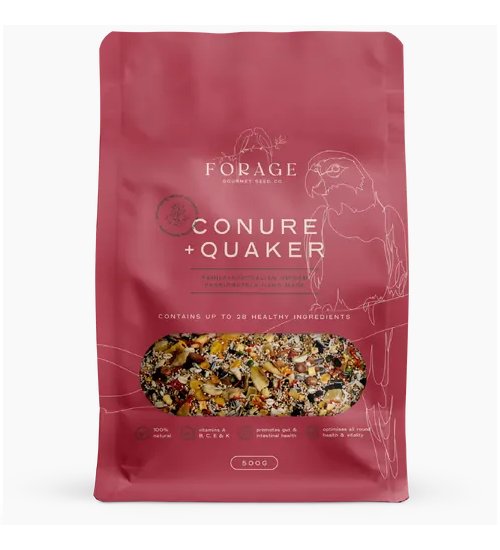 Forage Gourmet Conure Quaker Blend