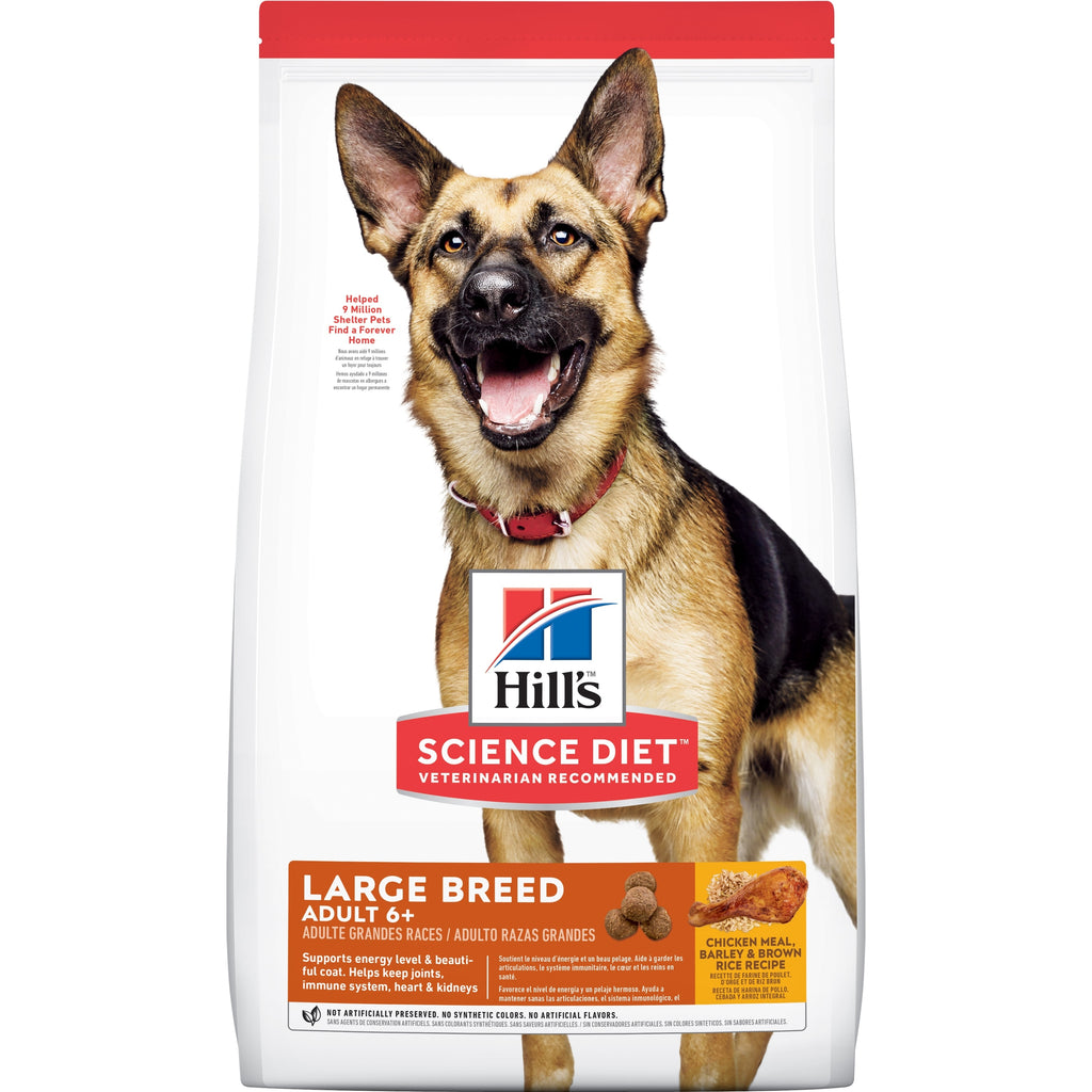 Hills Science Diet Adult 6+ Senior Large Breed