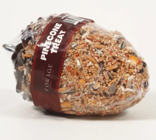 Forage Pine Cone