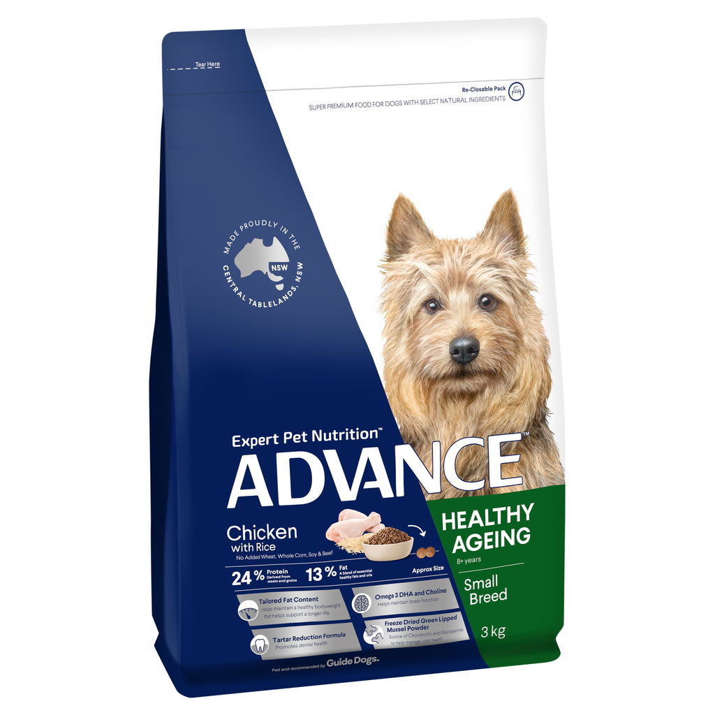 Advance Mature Toy Small Chicken