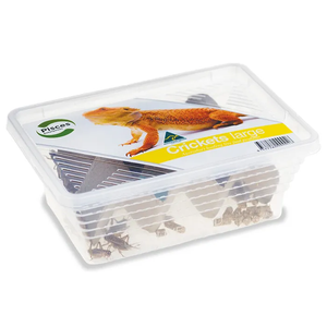 Pisces Enterprises Crickets (Instore Pickup Only)