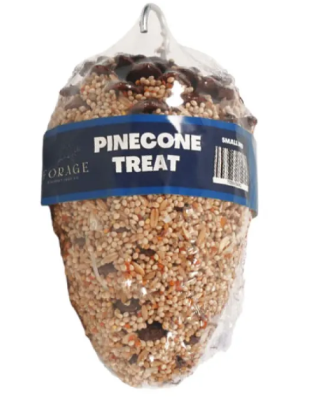 Forage Pine Cone