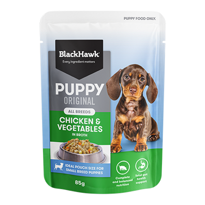 Black Hawk Puppy Small Breed Chicken & Veg Pouches