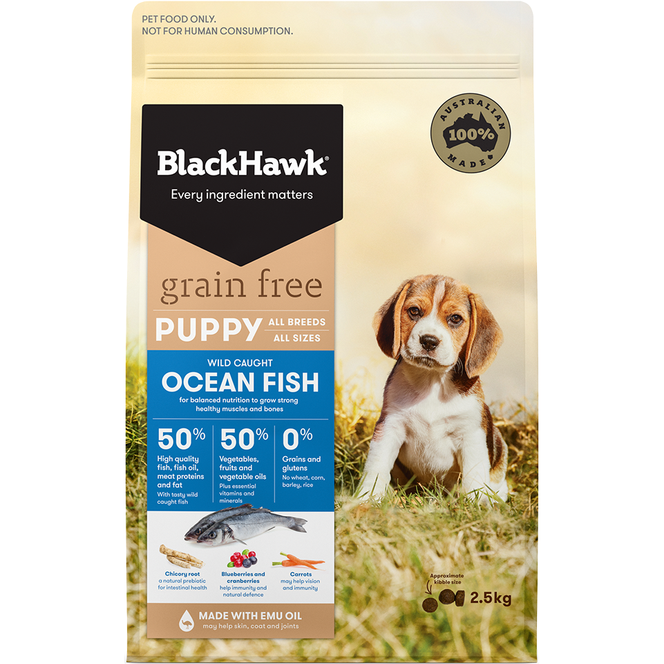 Black Hawk Puppy G/Free Ocean Fish