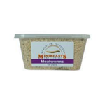 Minibeasts Mealworms 10-100g