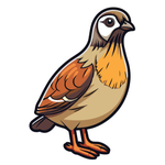 Frozen Quails (Instore pick up only)