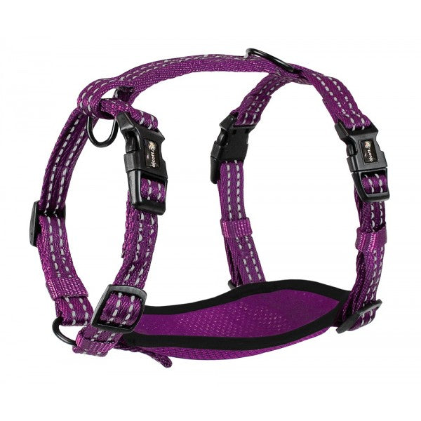 Alcott Nylon Adventure Harness Purple - Small, Medium or Large