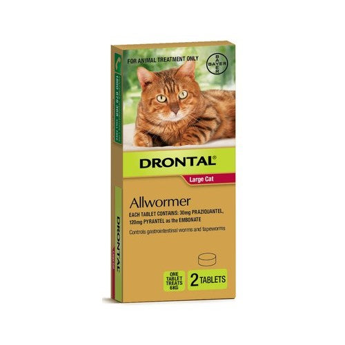 Drontal Allwormer Cat up to 6kg 2pk
