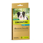 Drontal Allwormer Chews Medium Dog