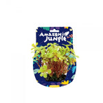 Amazon Jungle 4 Leaf Clover