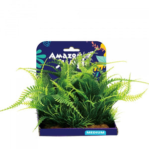 Amazon Jungle Amazon Fern Display