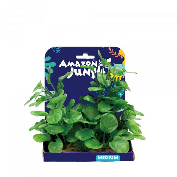 Amazon Jungle Anubius Display 15cm