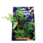 Amazon Jungle Mixed Ludwigia