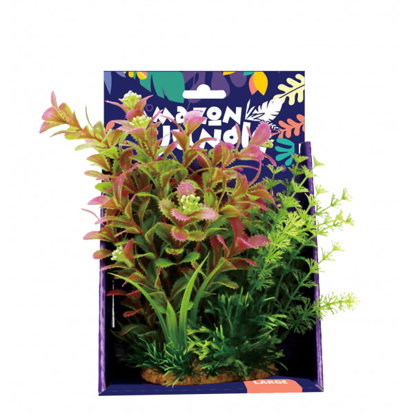 Amazon Jungle Mixed Ludwigia 20cm