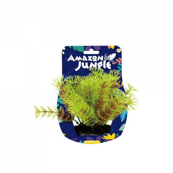 Amazon Jungle Myriophyllum 10-12cm