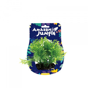 Amazon Jungle Wisteria Display 10-12cm