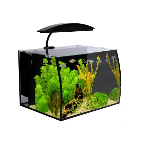 Aqua One Arc 30 Aquarium