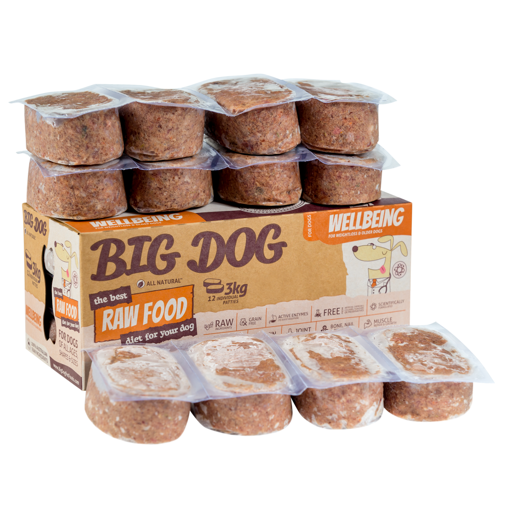 Big Dog BARF Wellbeing 3kg