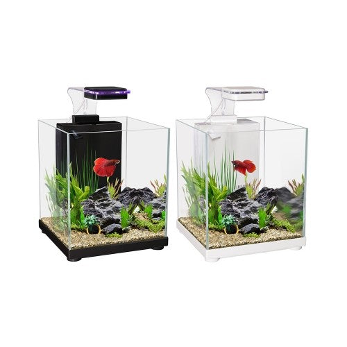 Aqua One Betta Sanctuary 10L