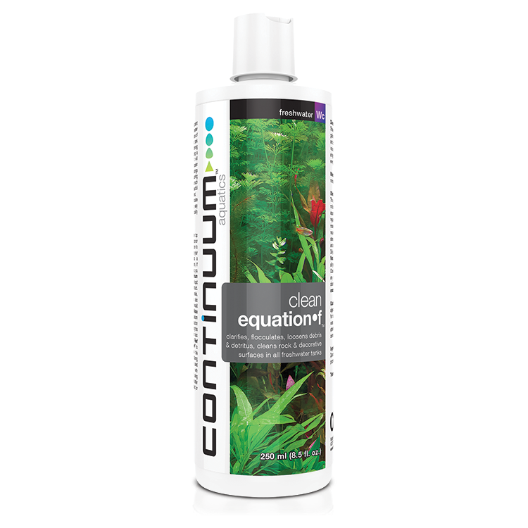 Continuum Clean Equation F 125mL