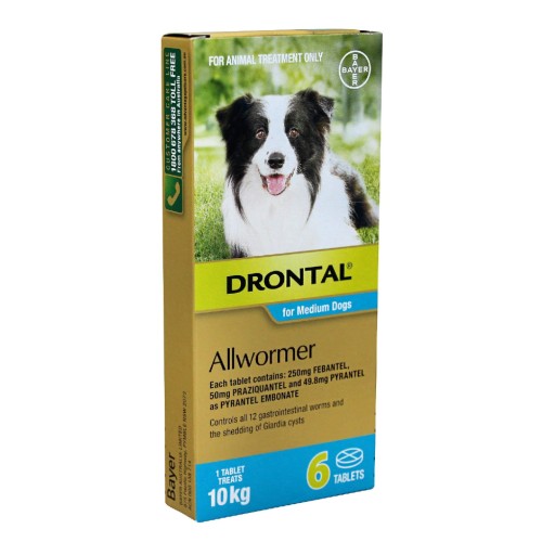 Drontal Allwormer Medium Dog 6pk