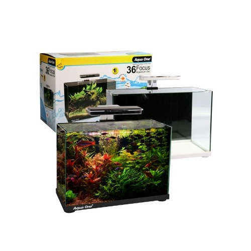 Aqua One Focus Aquarium