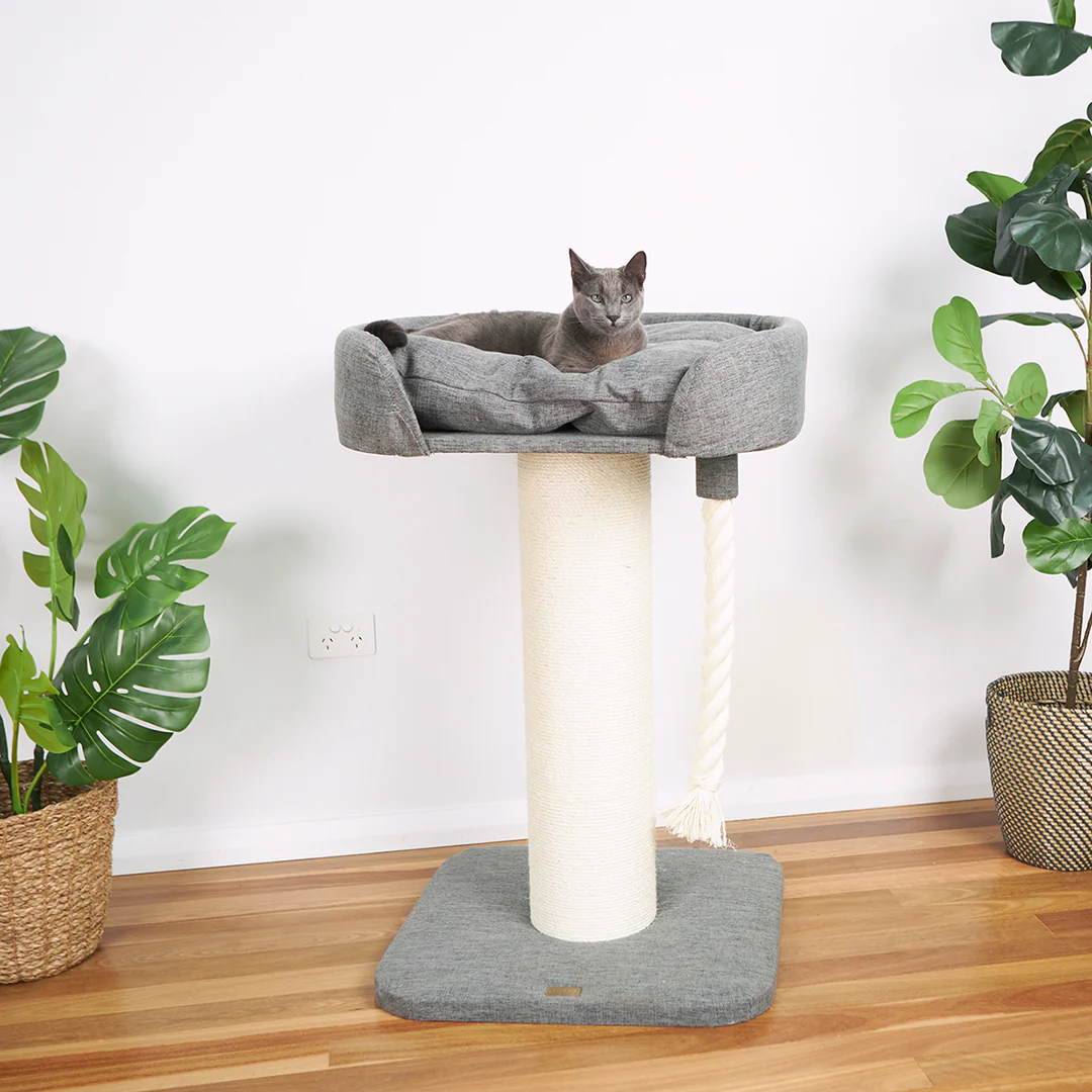 Kazoo High Sofa Bed Scratch Post