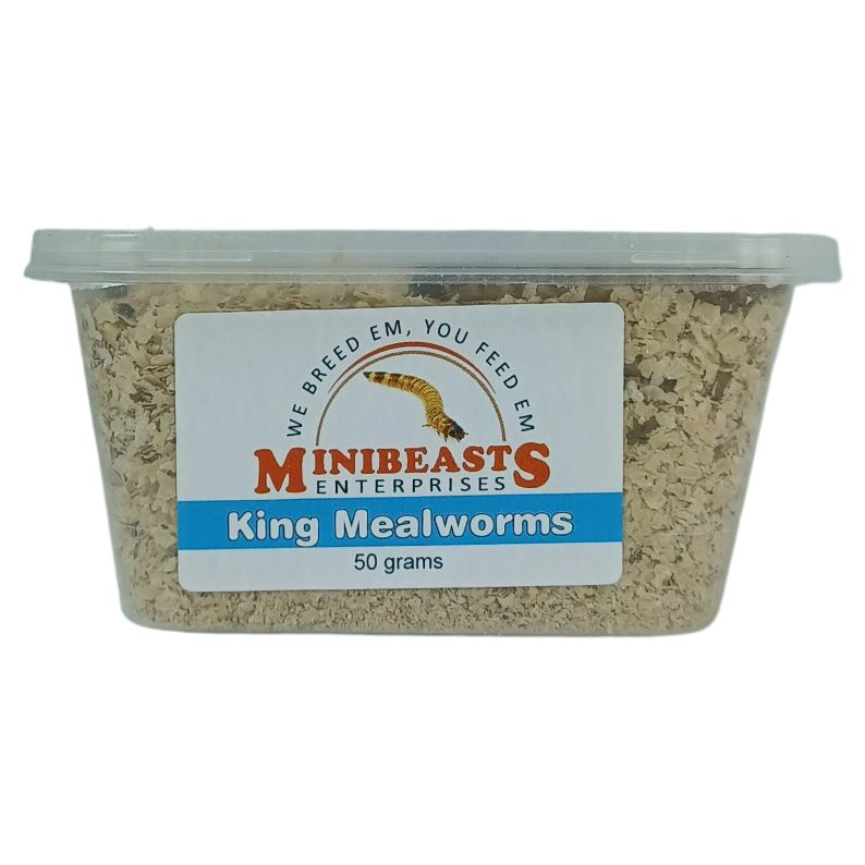 Minibeasts King Mealworms 20-50g