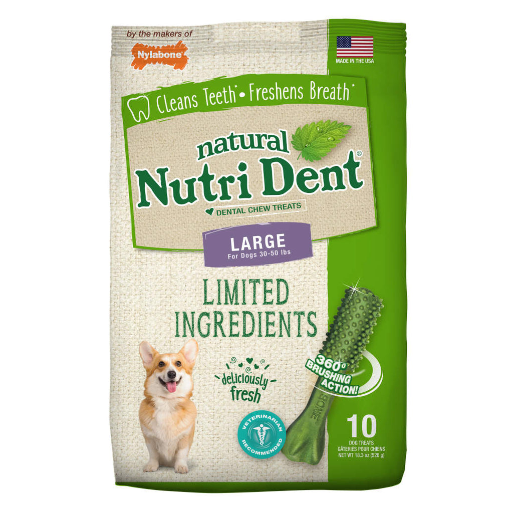 Nylabone Nutri Dent Fresh Breath