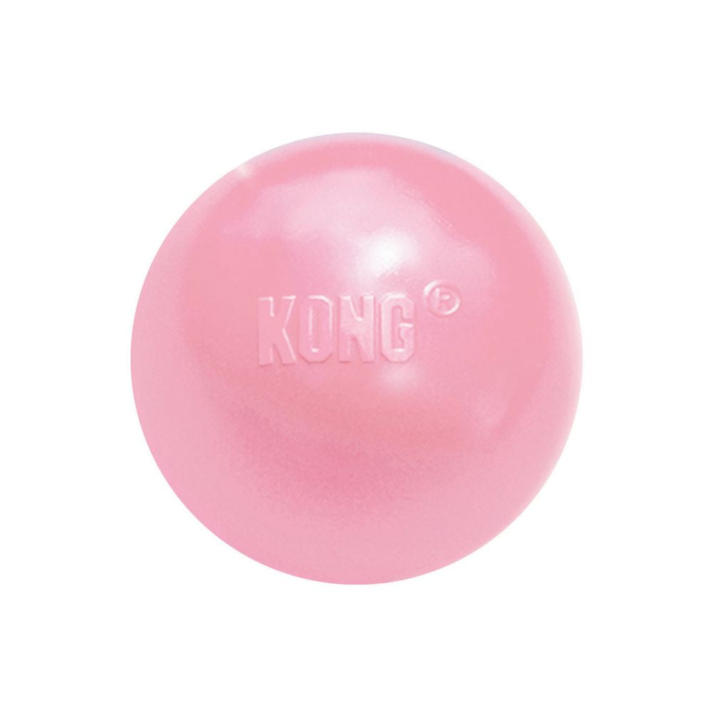 Kong Ball Puppy