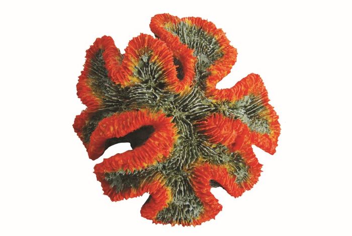 Lost City Coral Red Ornament 17cm