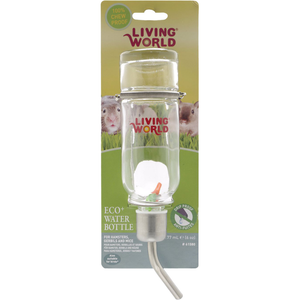 Living World Glass Bottle