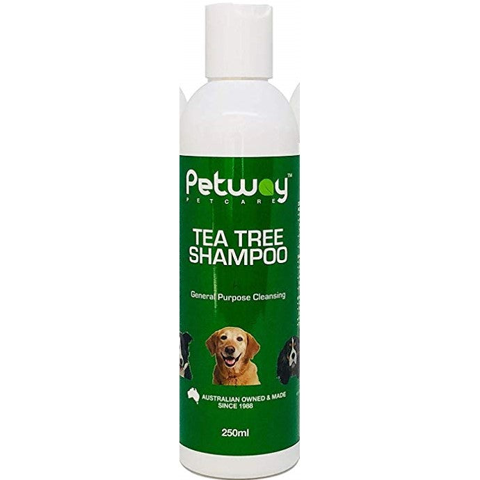 Petway Tea Tree Shampoo 250mL