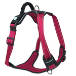 Huskimo Ultimate Harness Uluru