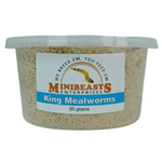 Minibeasts King Mealworms 20-50g
